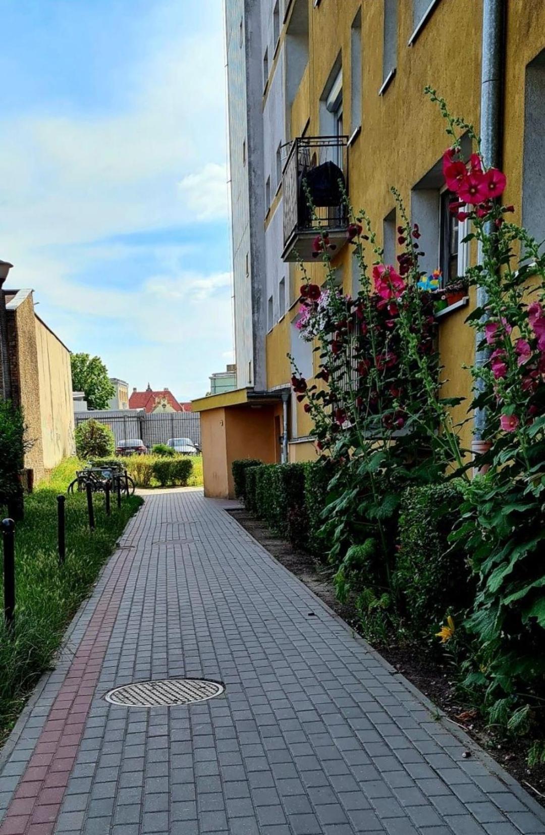 Apartament Przy Alei Kopernika Inowroclaw Exterior photo